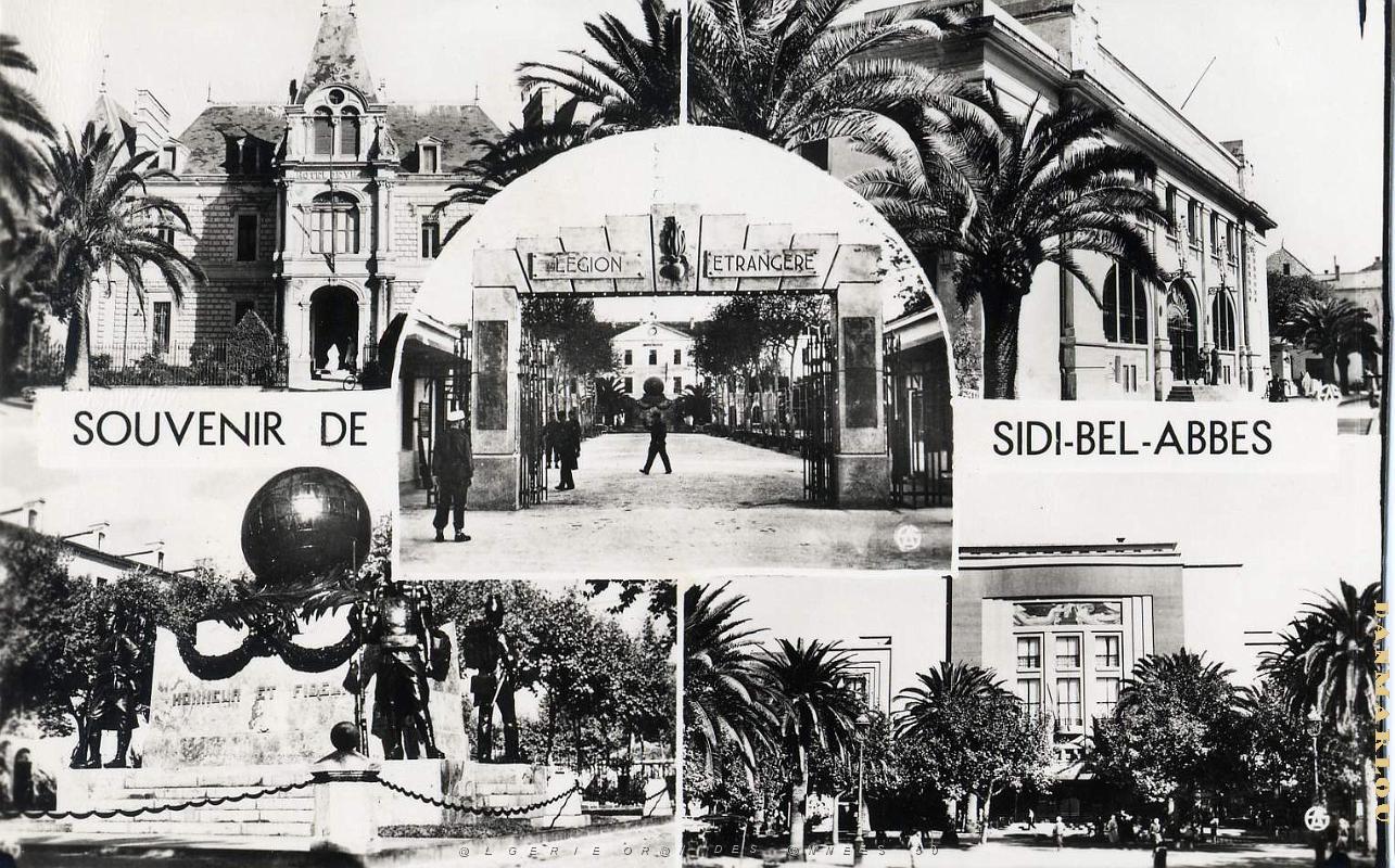 Sidi bel abbes 536- Souvenir COLLECTION DES AMIS DE ND DE SANTA CRUZ.jpg